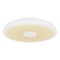 Потолочный светодиодный светильник Globo Raffy 41366W