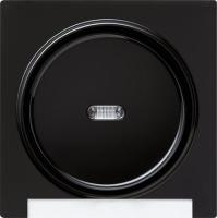 Gira Одинарная клавиша с полем для надписи и подсветкой