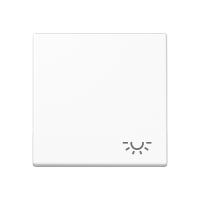 JUNG A 500 Белая Клавиша 1-ая с символом ОСВЕЩЕНИЕ