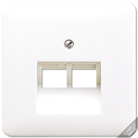 JUNG CD 500/CD plus Бежевая Накладка 2-ой наклонной ТЛФ/комп розетки