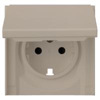 Лицевая панель для розетки 2к+з с крышкой, латте (35634 LT)