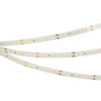 Arlight Лента RT-A144-10mm 24V White6000 (7.7 W/m, IP20, 2835, 5m) (высок.эфф.200 лм/Вт)
