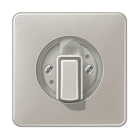 JUNG Накладка поворотного механизма платина