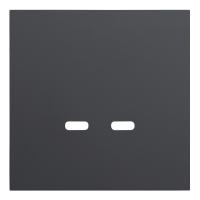 Лицевая панель для розетки USB C/C, черный сатин (35675 MB)