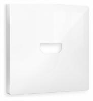 Лицевая панель ALFA (Белый глянец) для HDMI розетки QUANT AP1140