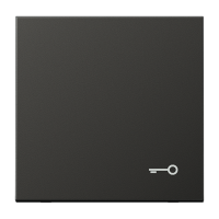 JUNG Антрацит Клавиша с символом "замок"