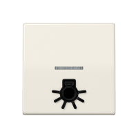 JUNG Клавиша с окошком для подсветки и символом "свет" слоновая кость