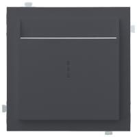 Лицевая панель для карточного выключателя, базальт (35731 BT)