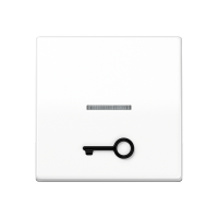 JUNG Клавиша для выключателя с окошком для подсветки и символом "замок" белая