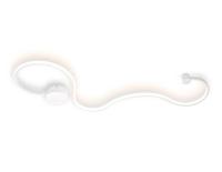 Настенный светодиодный светильник Ambrella light Metallic FL417