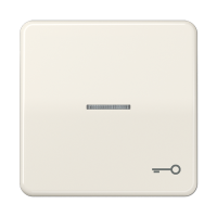 JUNG CD 500/CD plus Бежевая Клавиша 1-ая с/п с символом КЛЮЧ