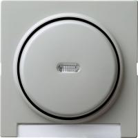 Gira Одинарная клавиша с полем для надписи и подсветкой