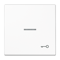 JUNG Клавиша для выключателя с символом «Ключ», белый