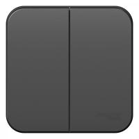 SE Blanca наруж Антрацит Выключатель 2-клавишный, 10А, 250B