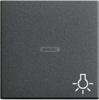 Gira Клавиша с пиктограммой "Свет" и контрольным окном