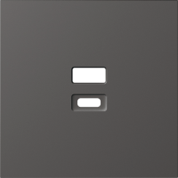 Donel Накладка для розеток USB, матовый титан, серия S08, DS28645