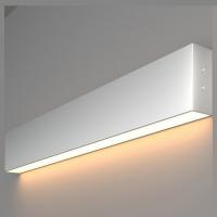 Линейный светодиодный накладной односторонний светильник 53см 10Вт 3000К матовое серебро 101-100-30-53 Elektrostandard Grand a041486