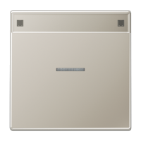 JUNG LS 990 Edelstahl Клавиша с полем для надписи(для 506 KOU)