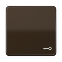 JUNG CD 500/CD plus Коричневая Клавиша 1-ая с символом КЛЮЧ