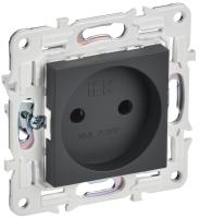 IEK SKANDY Титан Розетка б/з 10А SK-R02T