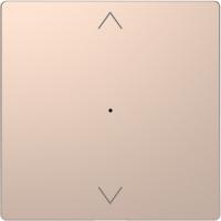 SE Merten D-Life Шампань PlusLink Клавиша 1-ая с символами вх/вз