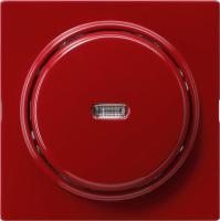 Gira Выключатель с клавишей 2-полюсный с окошком