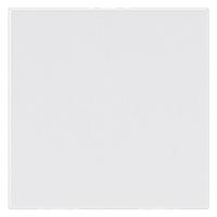 Legrand Mosaiс Заглушка - Программа Mosaic - 2 модуля - белая