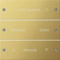 Gira KNX Комплект клавиш, 3 шт. гравировка