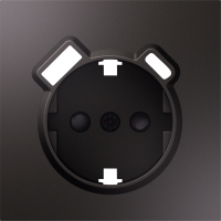 Donel Накладка для розетки Schuko с зарядным устройством USB A+C, со шторками 16A 250В, мокко, серия S08, DS22953