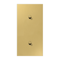 JUNG LS1912 Латунь классик Центральная плата, 2 поста, для вертикальной установки, тумблеры 1+1,цилиндр; метал. исполнение