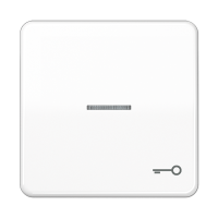 JUNG CD 500/CD plus Белая Клавиша 1-ая с/п с символом КЛЮЧ