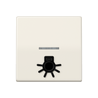 JUNG Клавиша с окошком для подсветки и символом "свет" слоновая кость