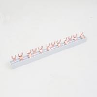 DKC Соединительная шина BBS-MD63 типа FORK, 3 полюса, 18 присоединений, для  модульной аппаратуры