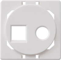 Donel Лицевая панель для комбинированной розетки TV + RJ45, белый, серия N96 Collect, DTP88933