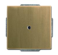 ABB BJE Династия Античная латунь Заглушка с суппортом