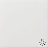 Gira Клавиша с пиктограммой "свет"