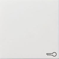 Gira Клавиша с пиктограммой "ключ"