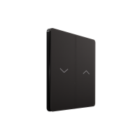 Systeme Electric Systeme Infinity Полярная ночь Выключатель для жалюзи, 10А