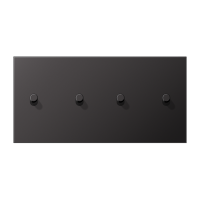 JUNG LS1912 Dark Центральная плата, 2 поста, для горизонтальной установки, тумблеры 2+2,цилиндр; метал. исполнение