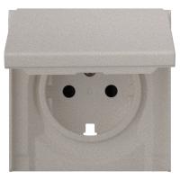 Лицевая панель для розетки 2к+з с крышкой, платина (35634 PL)