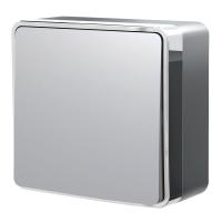 Выключатель одноклавишный Gallant серебряный W5010006