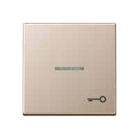 JUNG Клавиша для контрольного выключателя со знаком ключ шампань