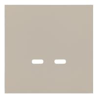 Лицевая панель для розетки USB C/C, латте (35675 LT)