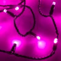 Arlight Светодиодная гирлянда ARD-STRING-CLASSIC-10000-BLACK-100LED-STD PINK (230V, 7W) (Ardecoled, IP65)