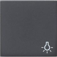 Gira Клавиша с пиктограммой "свет"