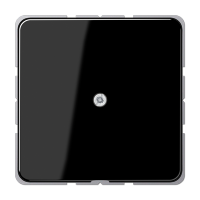 JUNG CD 500/CD plus Черный Вывод кабеля