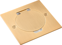 Лючок Surface 2 мод. (1 мод. 45х45 мм.), круглая крышка, зотоло, IP44