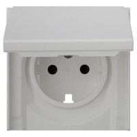 Лицевая панель для розетки 2к+з с крышкой, серебро (35634 SV)