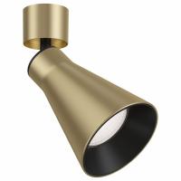 Потолочный светильник Maytoni Ceiling & Wall C061CL-01MG Maytoni Virar