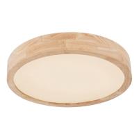 Потолочный светодиодный светильник Globo Leanara 41756-24